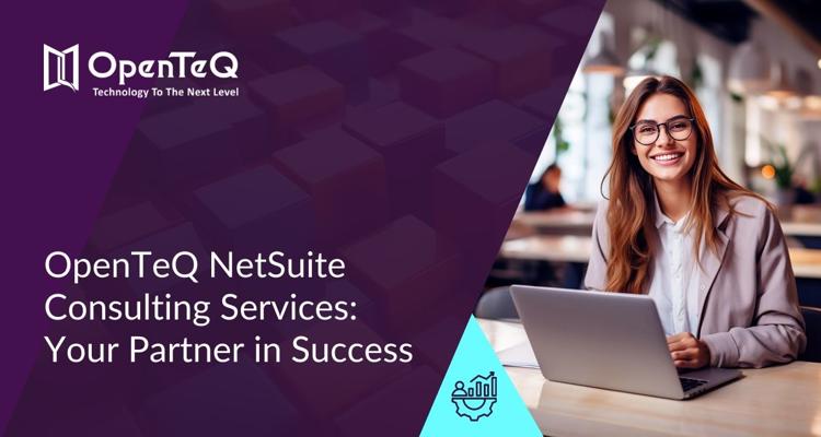 NetSuite Consulting Services